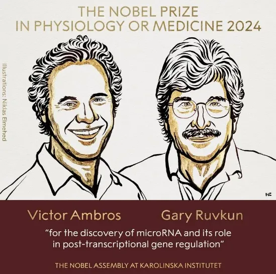 2024年諾貝爾生理學(xué)或醫(yī)學(xué)獎獲獎?wù)?，Victor Ambros和Gary Ruvkun